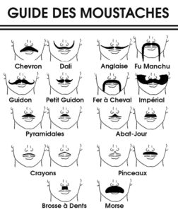Comment choisir sa moustache guide
