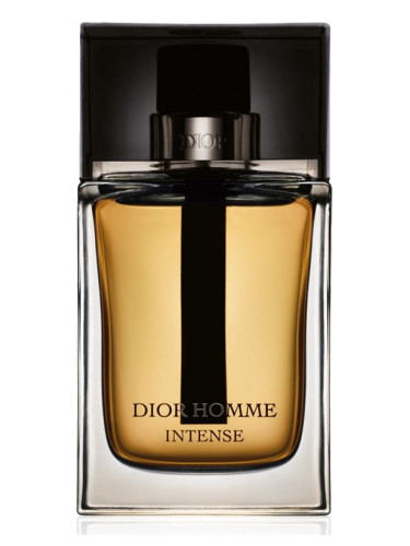 look pour homme parfum Dior