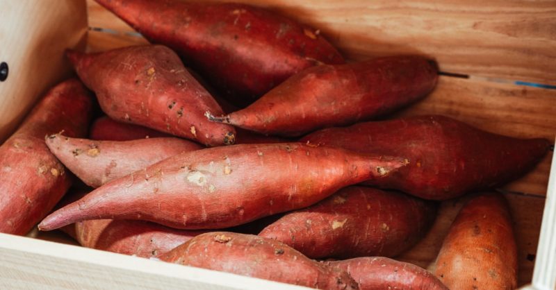 Ces 10 aliments qui font bronzer plus vite Patate douce