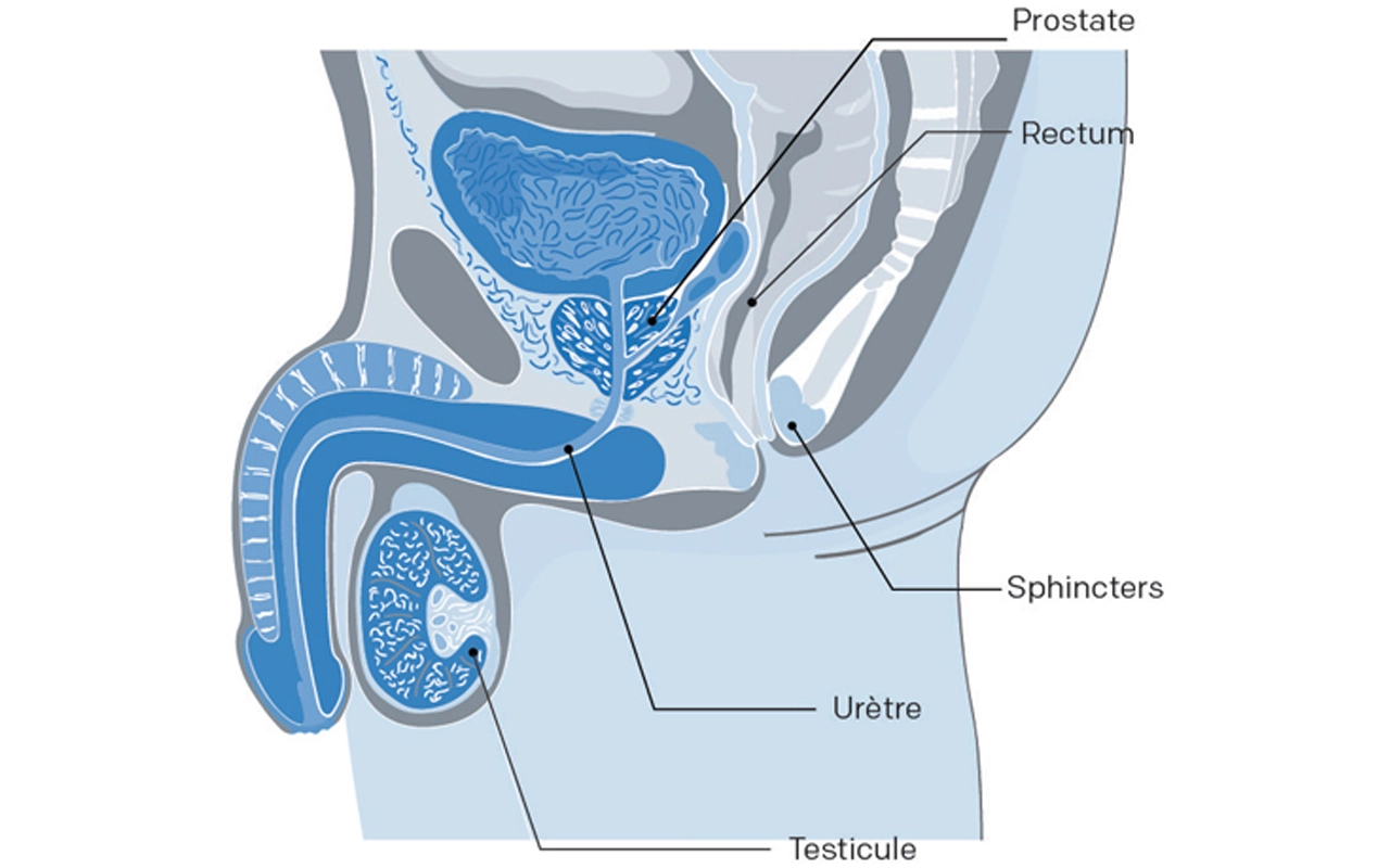 stimuler sa prostate sextoy prostatique stimulateur homme