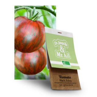 kit graines tomate bio
