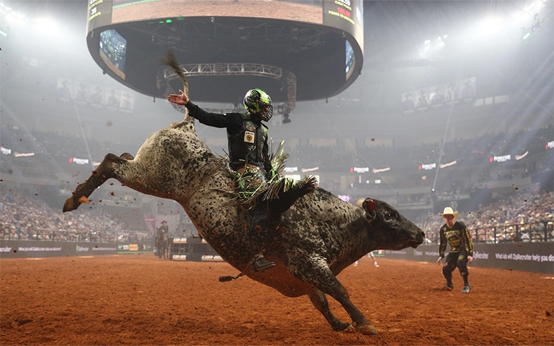 bull riding sports les plus dangereux