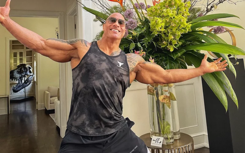 style de Dwayne Johnson carrure