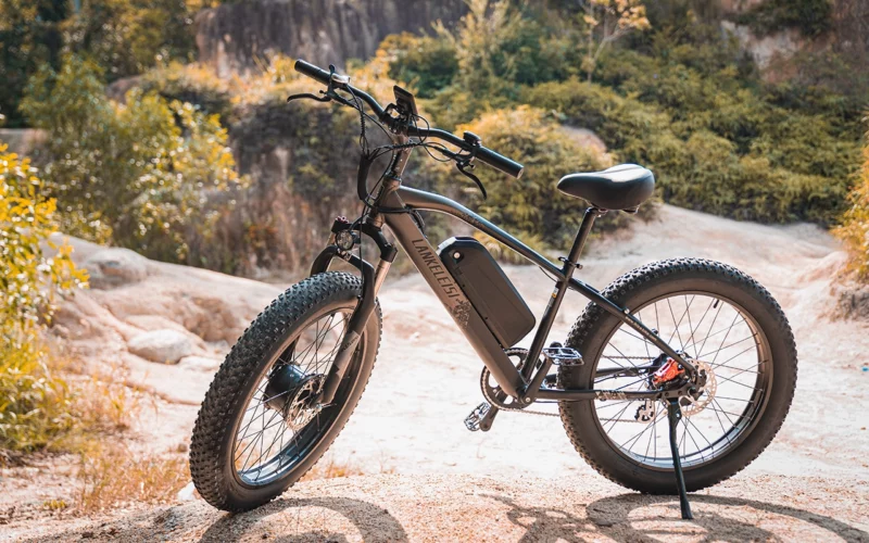 vélos électriques Lankeleisi tout terrain
