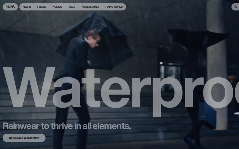 avis sur Rains site internet