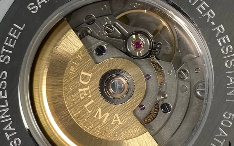 c'est quoi les rubis dans une montre