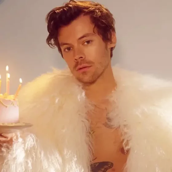 le style de harry styles