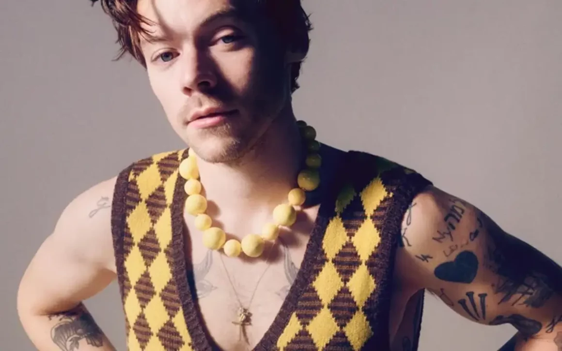 le style de harry styles esthétique seventies