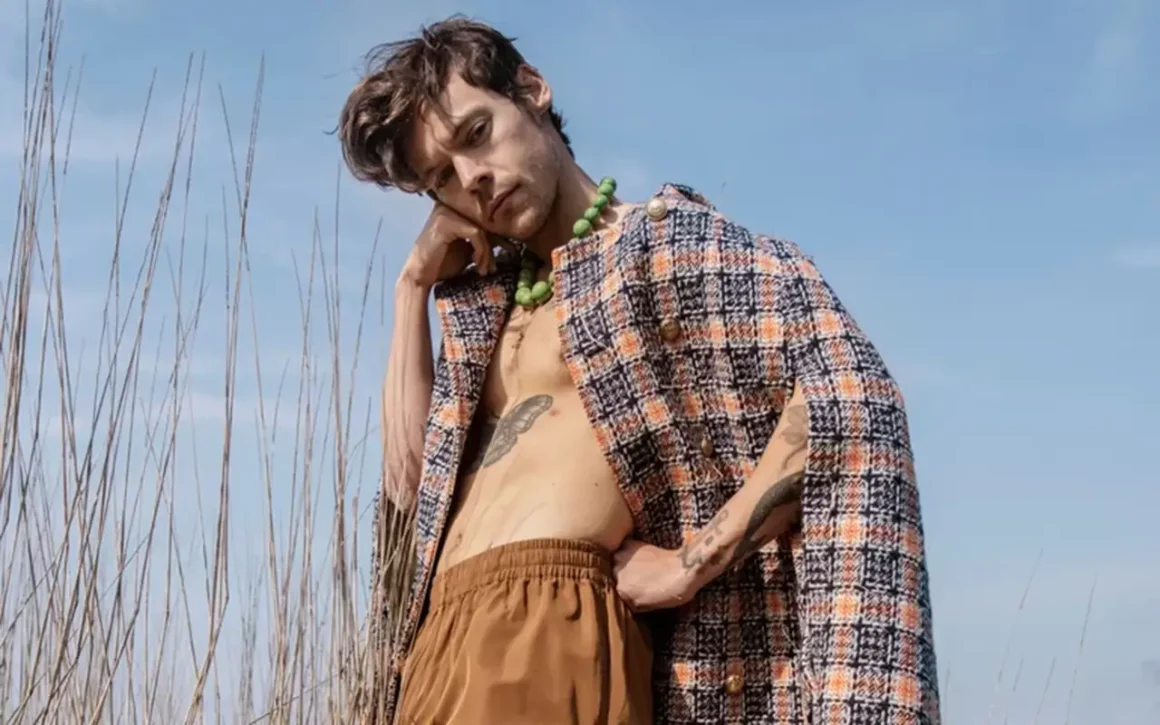 le style de harry styles féminin