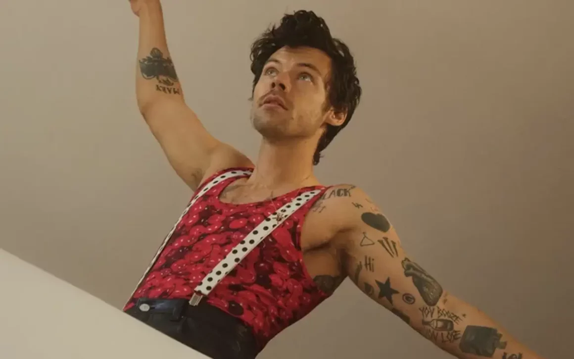 le style de harry styles genderless