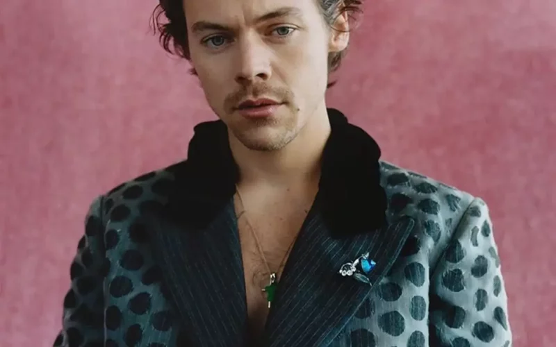 le style de harry styles tailleur