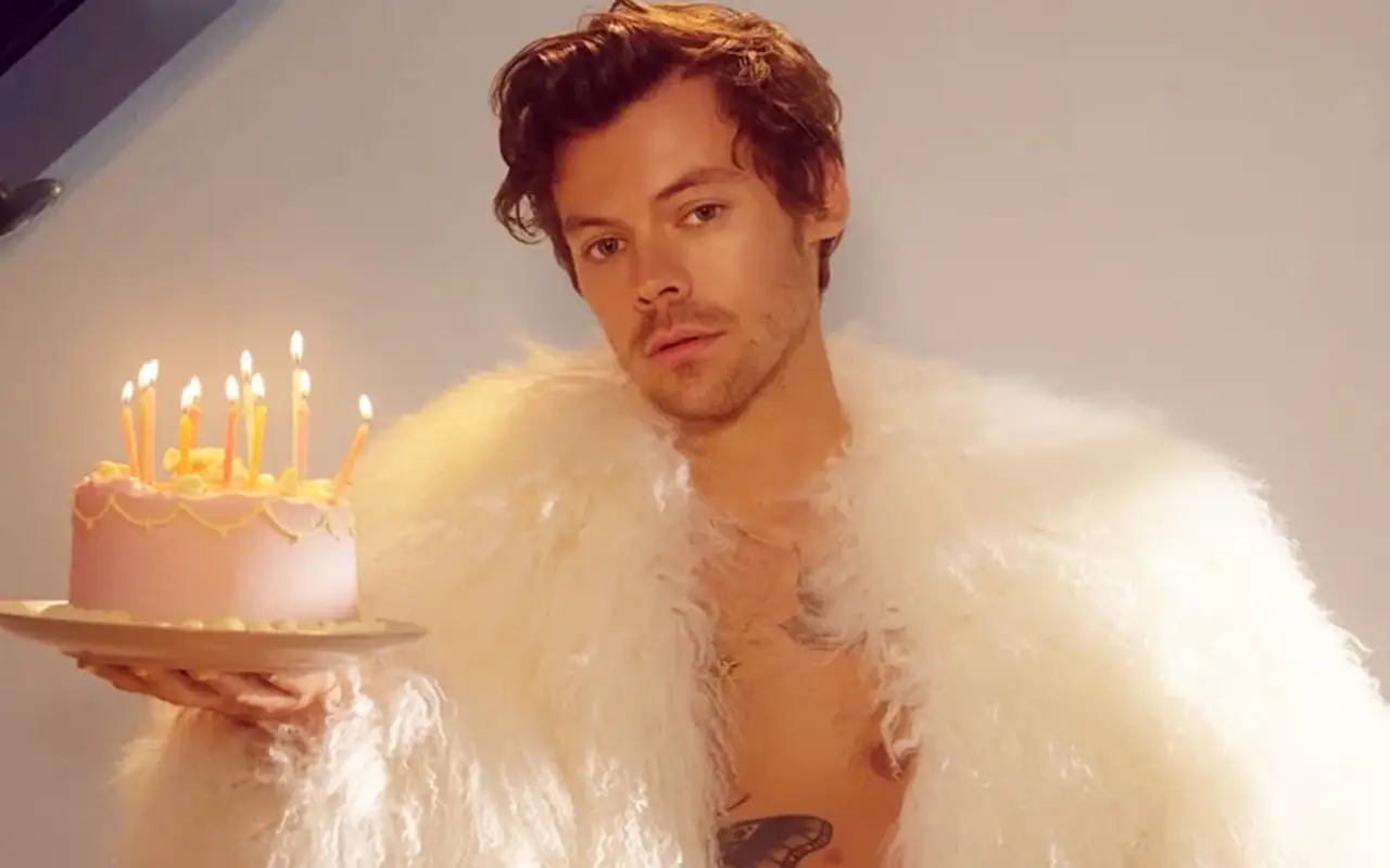 le style de harry styles