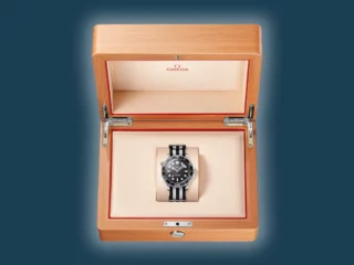 Seamaster Diver 300M OMEGA