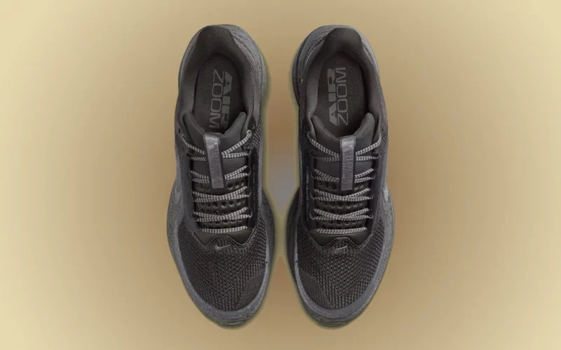 Nike Pegasus Premium « Light Loden » air zoom
