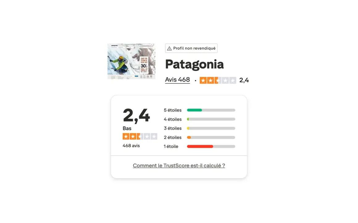 avis sur patagonia avis trsutpilot
