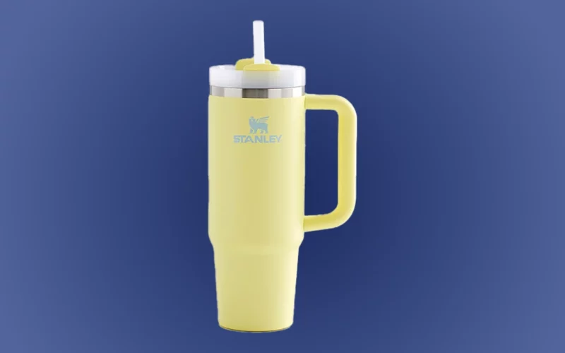 Wishlist Noël homme globe-trotter gourde